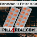 Rhinocéros 11 Platine 9000 27